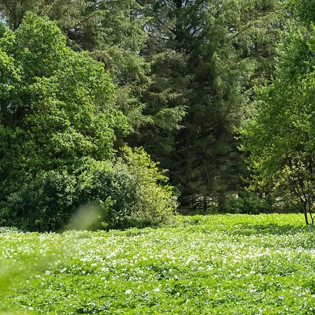 Tatil Evi 3 Bedroom Beautiful In